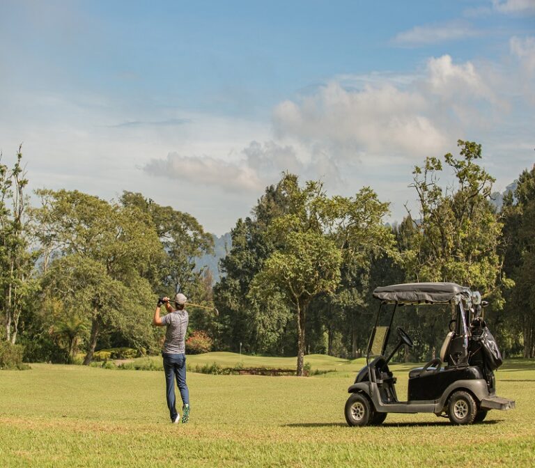 Golf Carts in Charleston: A Fun and Easy Way to Get Around